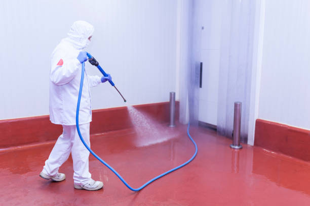 Paint Preparation in Hopelawn, NJ